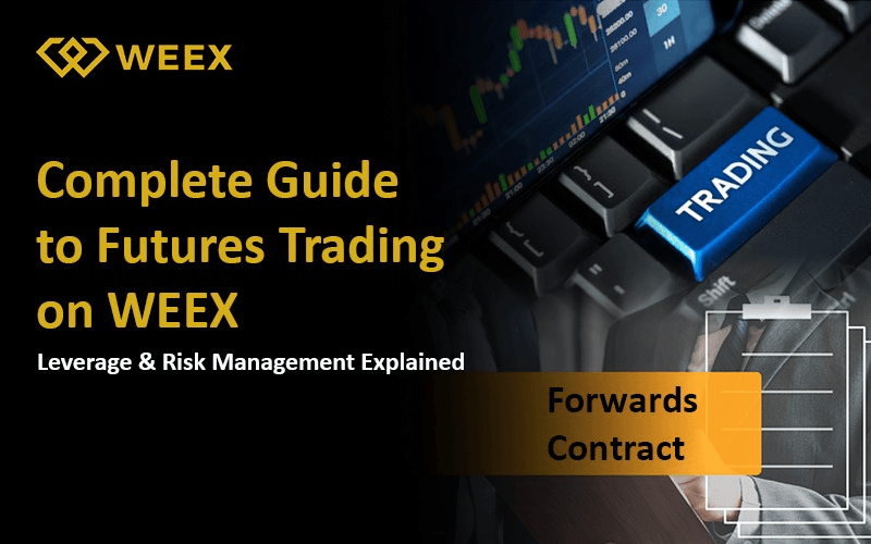 WEEX Futures Trading Guide: Explaining Leverage and Risk Management