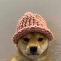 ef2a451c-a90a-45a0-a983-ed0d93164b2b.png