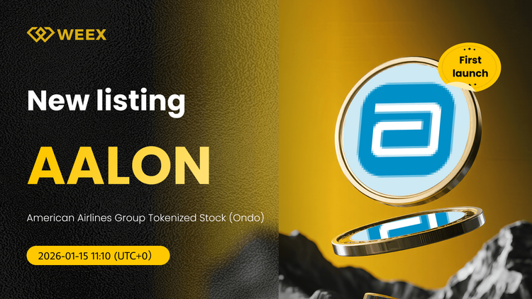 AALON USDT: سهام گروه هواپیمایی امریکن ایرلاینز در صرافی ویکس توکنیزه شد
