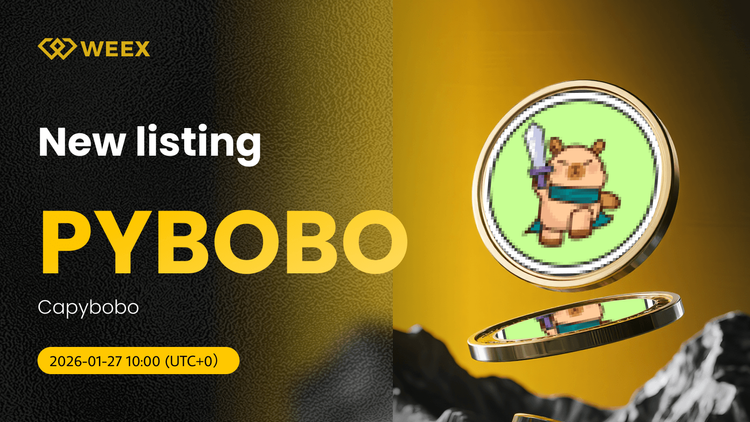 PYBOBO USDT در WEEX لیست شد: Capybobo (PYBOBO) Coin