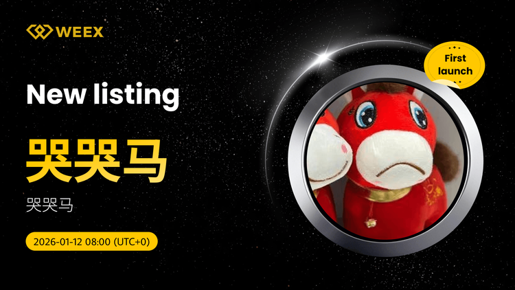 فهرست جفت ارزهای معاملاتی USDT (Crying Horse) در صرافی WEEX