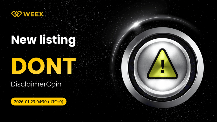 تجارت اسپات DONT USDT: DisclaimerCoin (DONT) در لیست سکه های WEEX