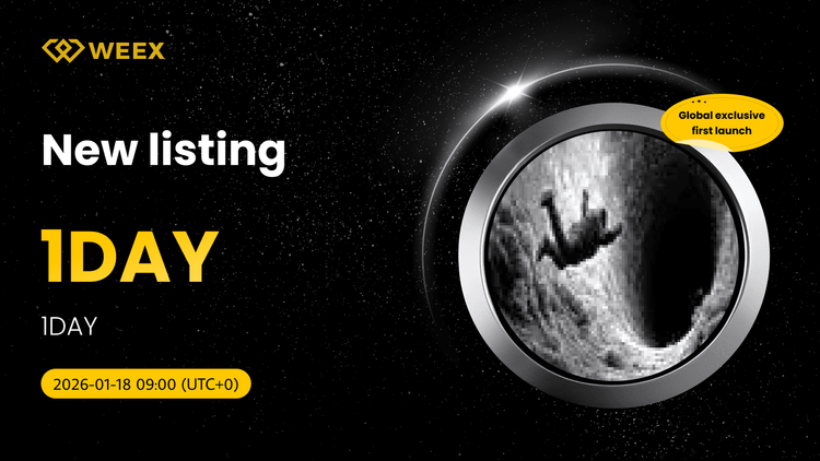 لیست انحصاری 1DAY USDT: تجارت 1DAY Coin در WEEX