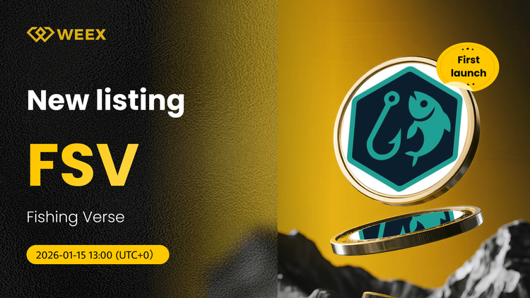FSV USDT زنده: لیست سکه Fishing Verse (FSV) در WEEX Spot