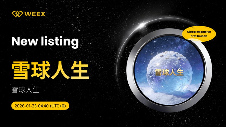 اولین عرضه جهانی: 雪球人生 USDT را در WEEX معامله کنید