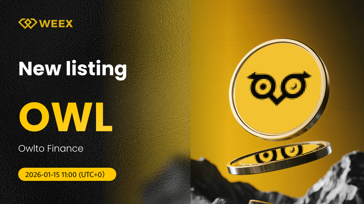 OWL USDT زنده: شرکت Owlto Finance در بورس WEEX فهرست شد