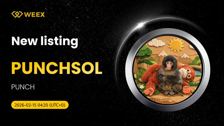 معاملات لحظه‌ای PUNCHSOL USDT در صرافی WEEX آغاز شد