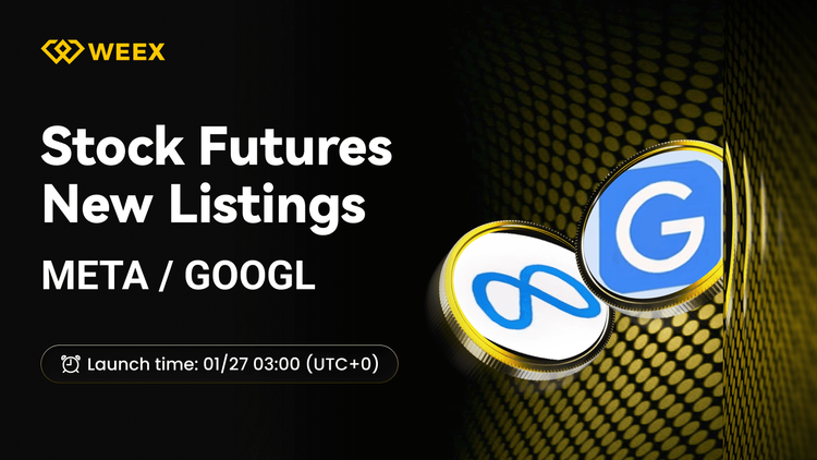 معاملات آتی USDT متا و گوگل اکنون در صرافی WEEX فعال هستند