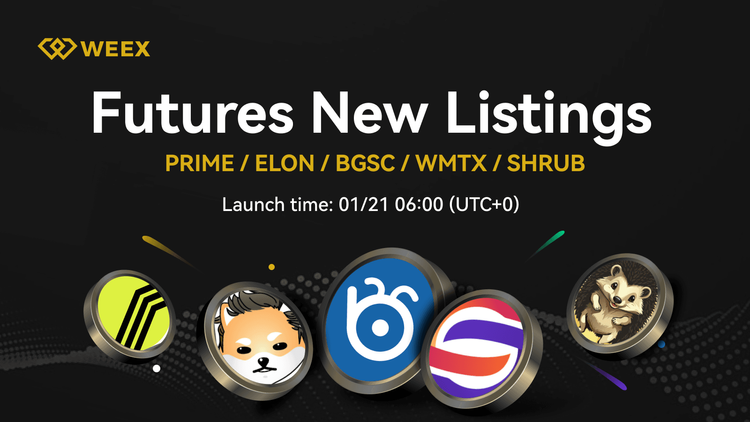درختچه (SHRUB) اکنون در WEEX - SHRUB USDT Trading Pair Live فهرست شده است!