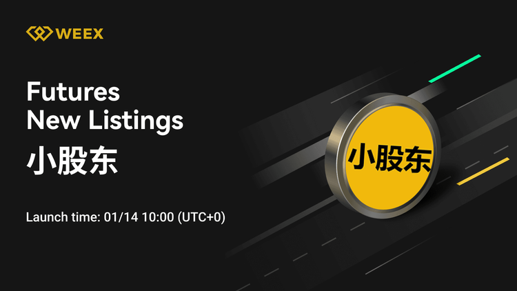 WEEX راه اندازی می کند 小股东 USDT: قرارداد دائمی 小股东