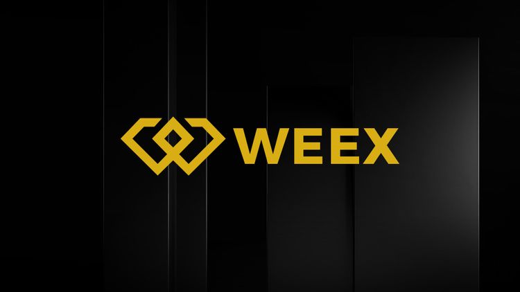 برترین‌های هفتگی WEEX: روندهای بازار و خلاصه رویدادها (۲۰ دسامبر - ۲۷ دسامبر ۲۰۲۴)