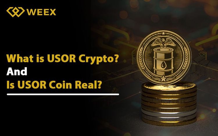 USOR: میان واقعیت و خیال