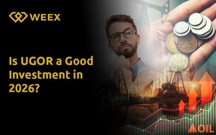 Is UGOR a Good Investment in 2026?