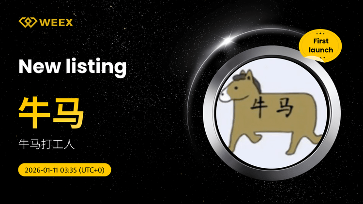 معاملات USDT: فهرست سکه‌های گاو و اسب (牛马) در WEEX